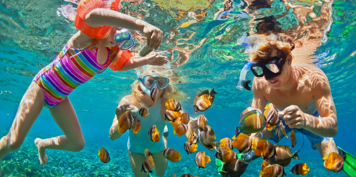 snorkeling in Maldives